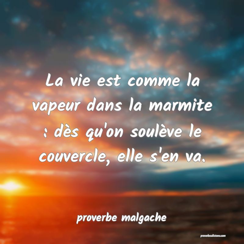  La vie est comme la vapeur dans la marmite : dès qu'on soulève le couvercle, elle s'en va.