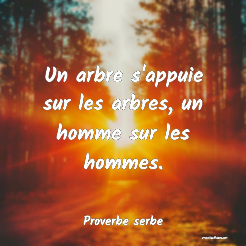  Un arbre s'appuie sur les arbres, un homme sur les hommes.