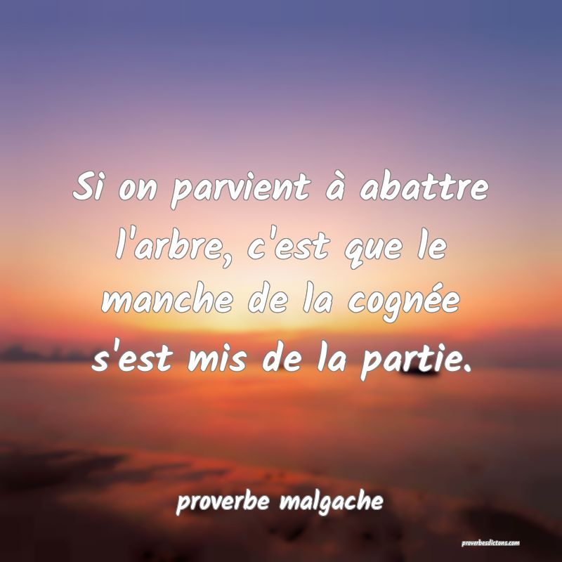  Si on parvient à abattre l'arbre, c'est que le manche de la cognée s'est mis de la partie.