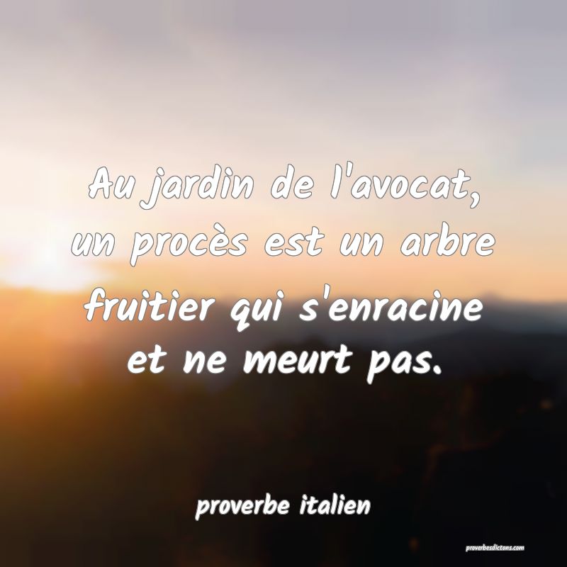  Au jardin de l'avocat, un procès est un arbre fruitier qui s'enracine et ne meurt pas.