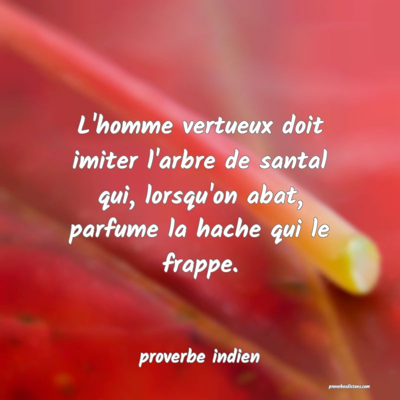  L'homme vertueux doit imiter l'arbre de santal qui, lorsqu'on abat, parfume la hache qui le frappe.