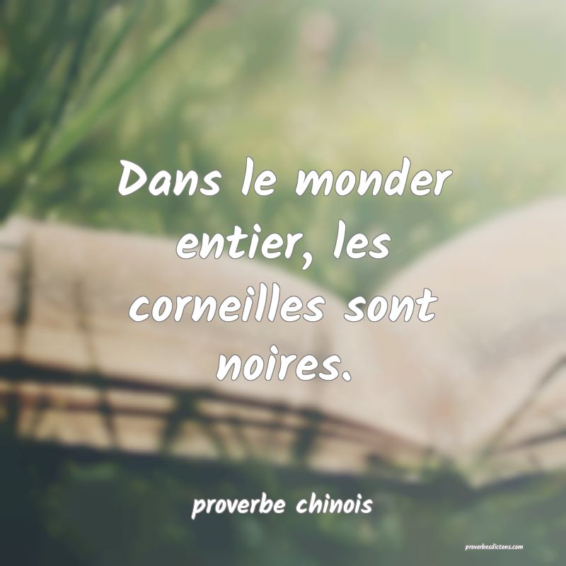  Dans le monder entier, les corneilles sont noires.