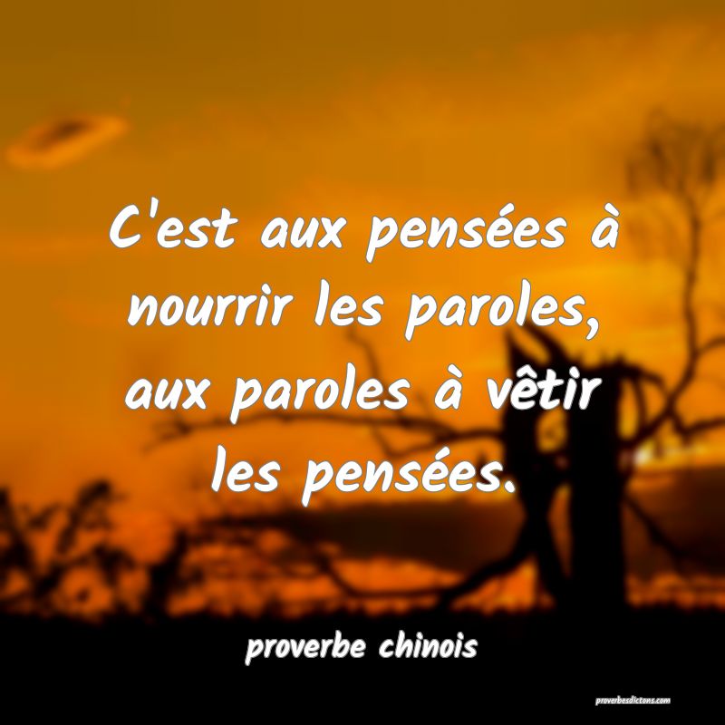  C'est aux pensées à nourrir les paroles, aux paroles à vêtir les pensées.