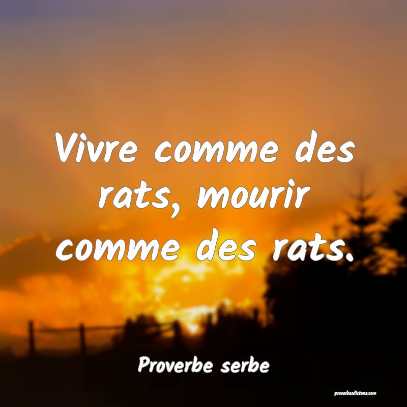  Vivre comme des rats, mourir comme des rats.