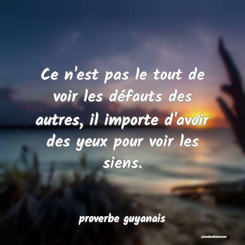  Ce n'est pas le tout de voir les défauts des autres, il importe d'avoir des yeux pour voir les siens.