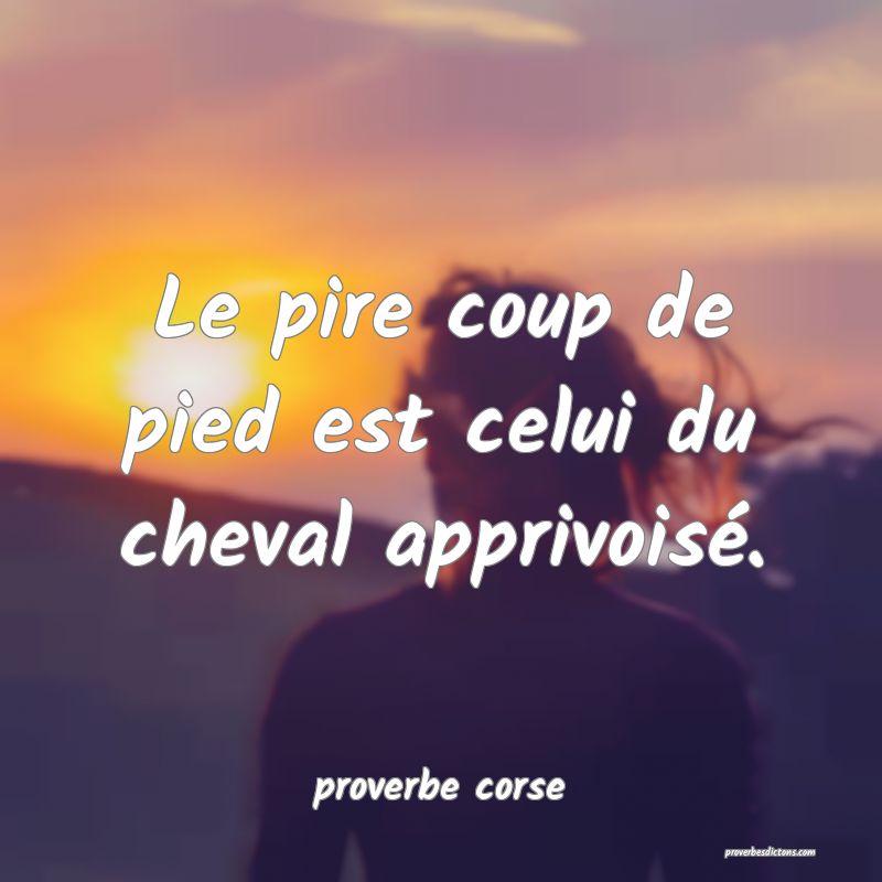  Le pire coup de pied est celui du cheval apprivoisé.