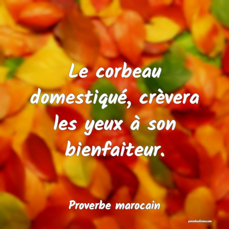  Le corbeau domestiqué, crèvera les yeux à son bienfaiteur.