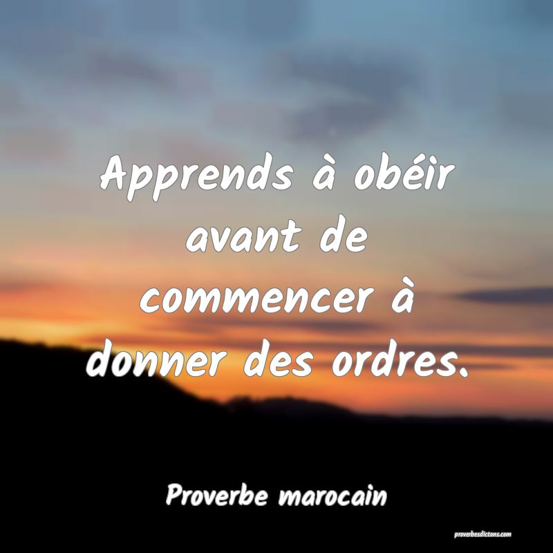  Apprends à obéir avant de commencer à donner des ordres.