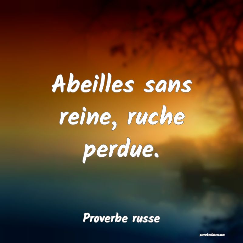  Abeilles sans reine, ruche perdue.