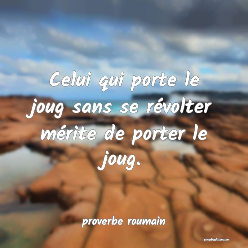 Celui qui porte le joug sans se révolter mérite de porter le joug.