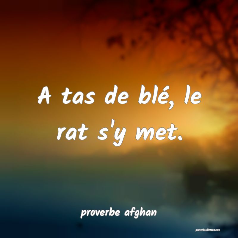 A tas de blé, le rat s'y met.