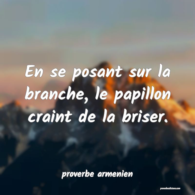  En se posant sur la branche, le papillon craint de la briser.