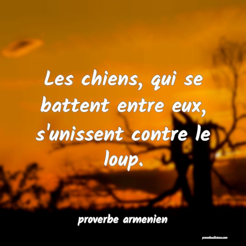  Les chiens, qui se battent entre eux, s'unissent contre le loup.