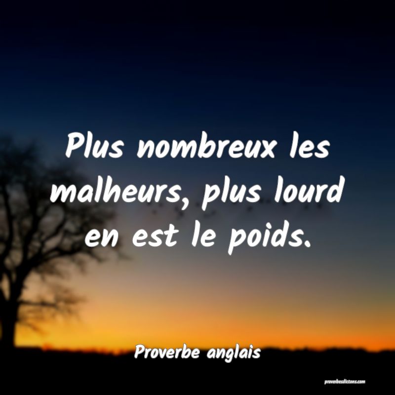  Plus nombreux les malheurs, plus lourd en est le poids.