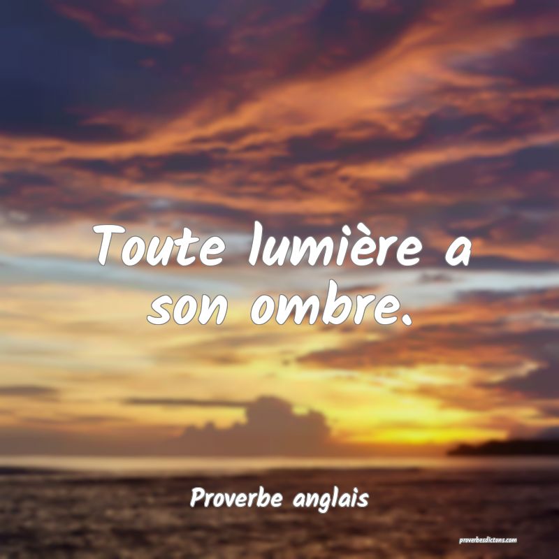  Toute lumière a son ombre.