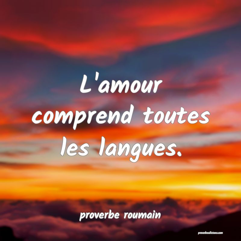  L'amour comprend toutes les langues.