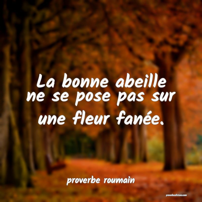  La bonne abeille ne se pose pas sur une fleur fanée.