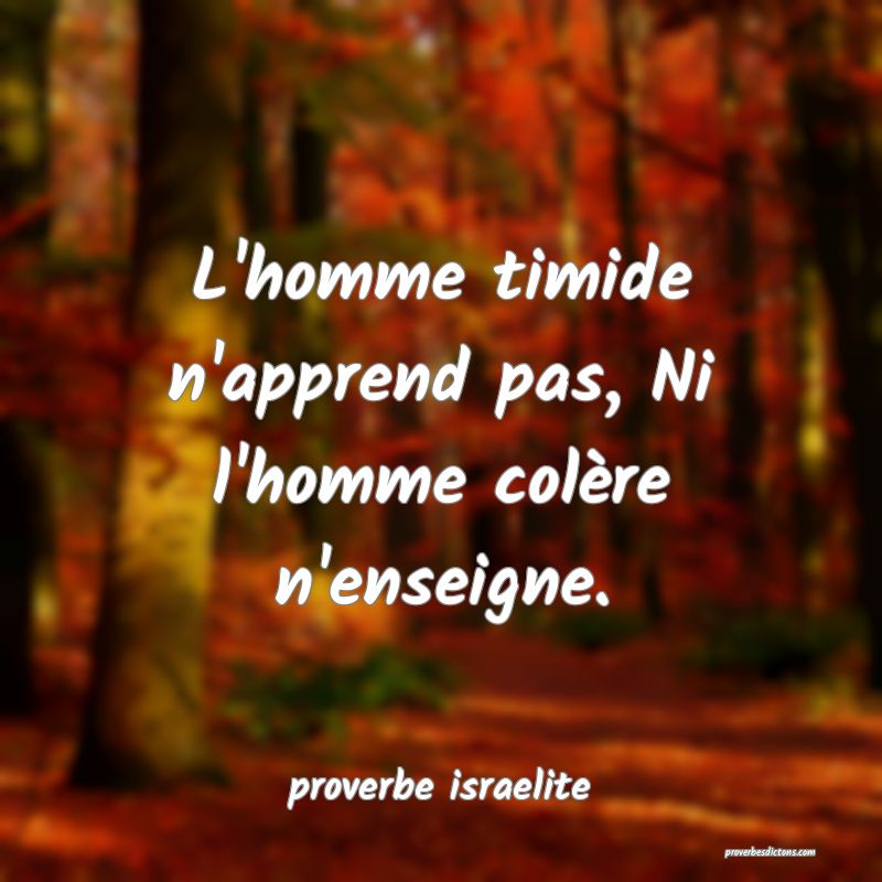 L'homme timide n'apprend pas, Ni l'homme colère n'enseigne.