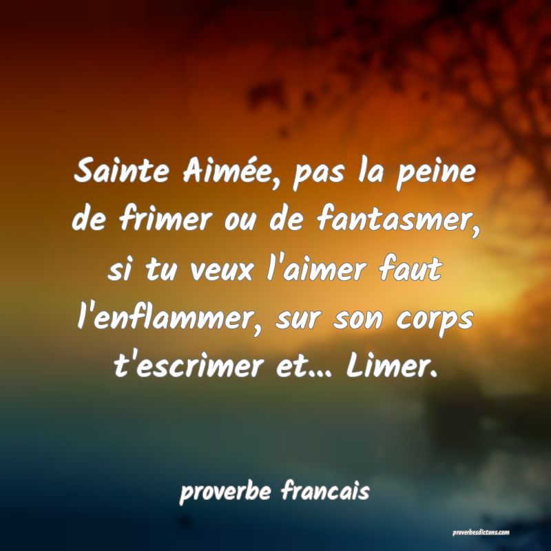 Sainte Aimée, pas la peine de frimer ou de fantasmer, si tu veux l'aimer faut l'enflammer, sur son corps t'escrimer et... Limer.
