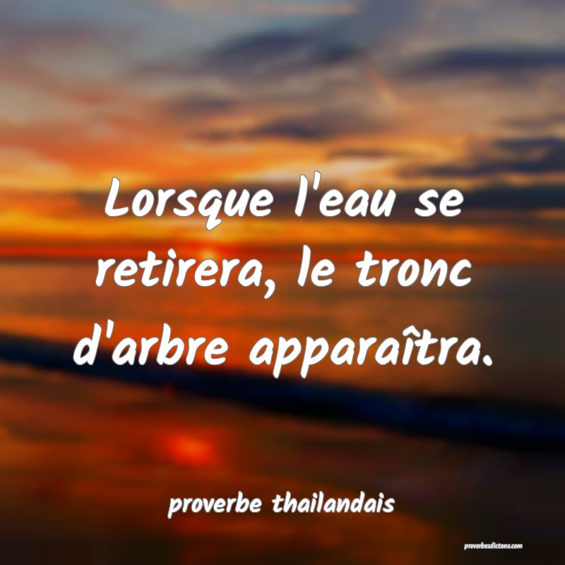 Lorsque l'eau se retirera, le tronc d'arbre apparaîtra.