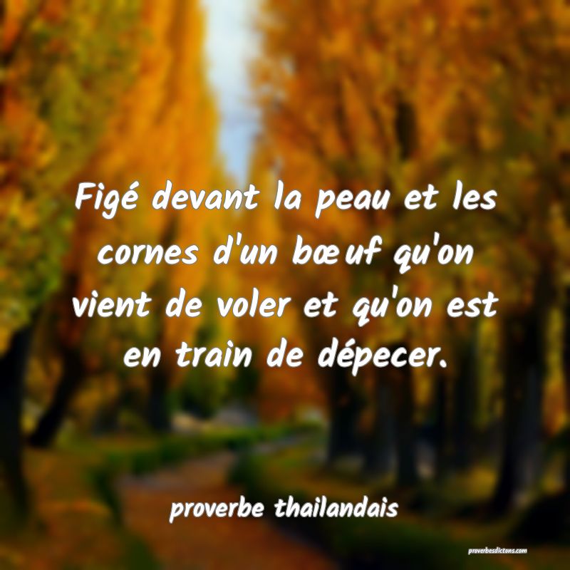 Figé devant la peau et les cornes d'un bœuf qu'on vient de voler et qu'on est en train de dépecer.