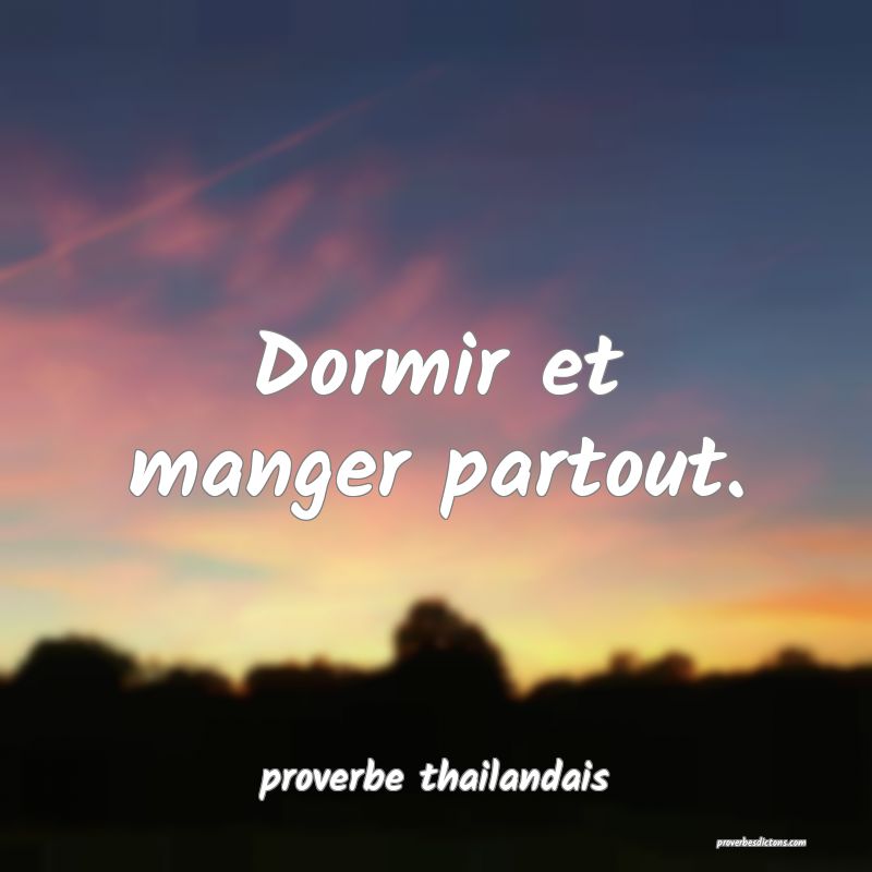  Dormir et manger partout.