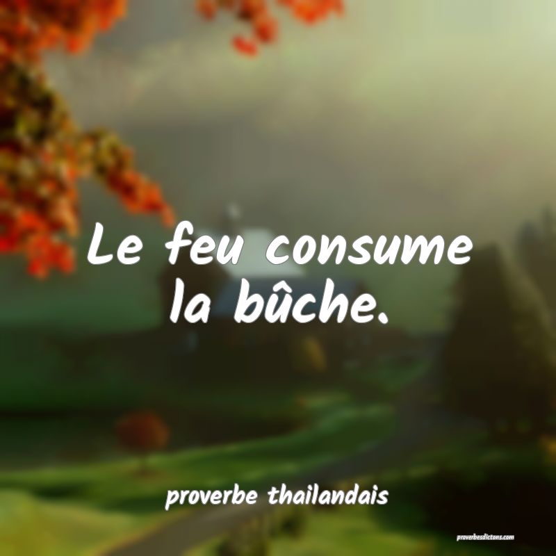  Le feu consume la bûche.