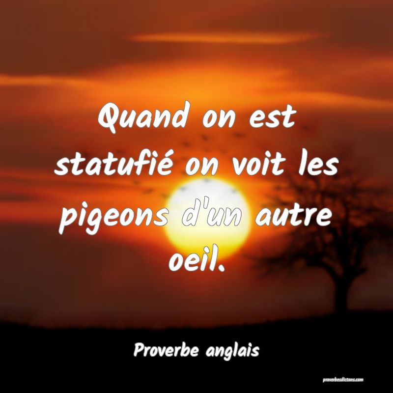  Quand on est statufié on voit les pigeons d'un autre oeil.