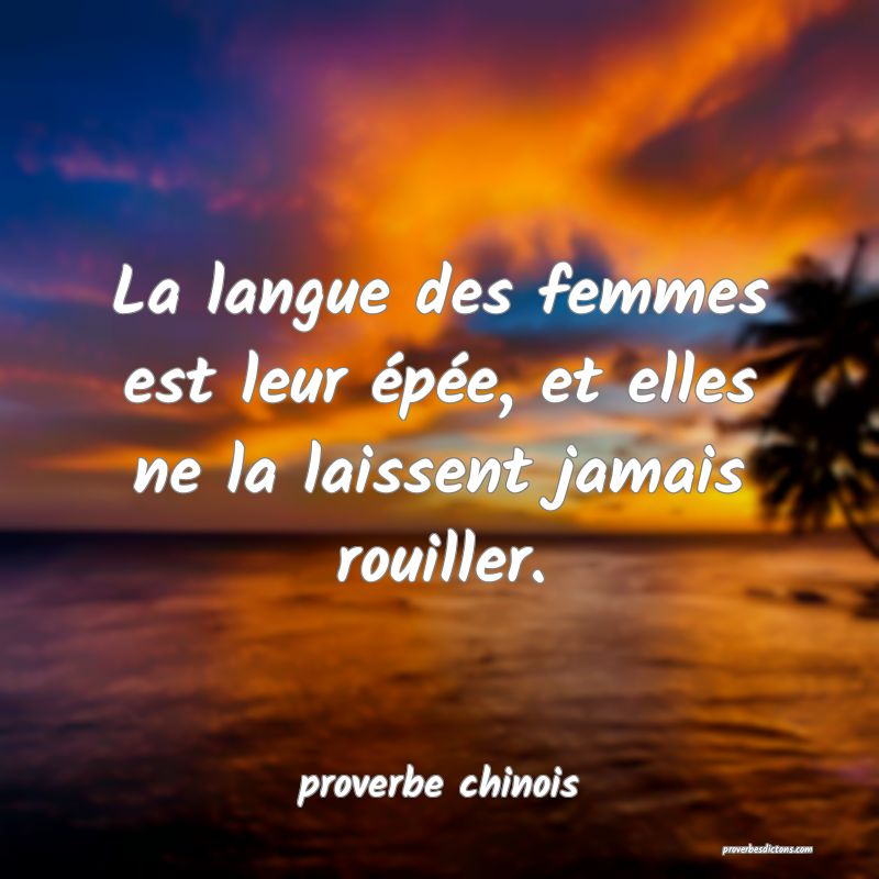  La langue des femmes est leur épée, et elles ne la laissent jamais rouiller.