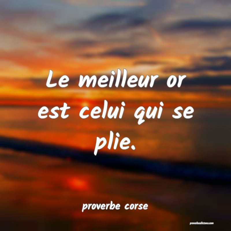 Le meilleur or est celui qui se plie.