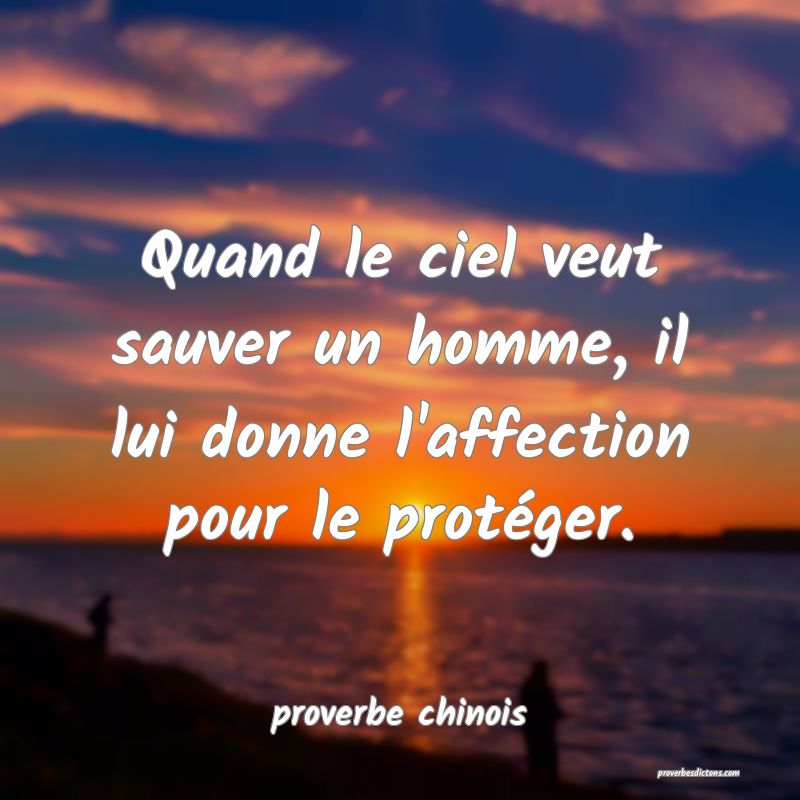  Quand le ciel veut sauver un homme, il lui donne l'affection pour le protéger.