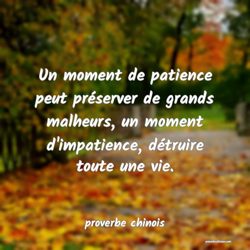  Un moment de patience peut préserver de grands malheurs, un moment d'impatience, détruire toute une vie.