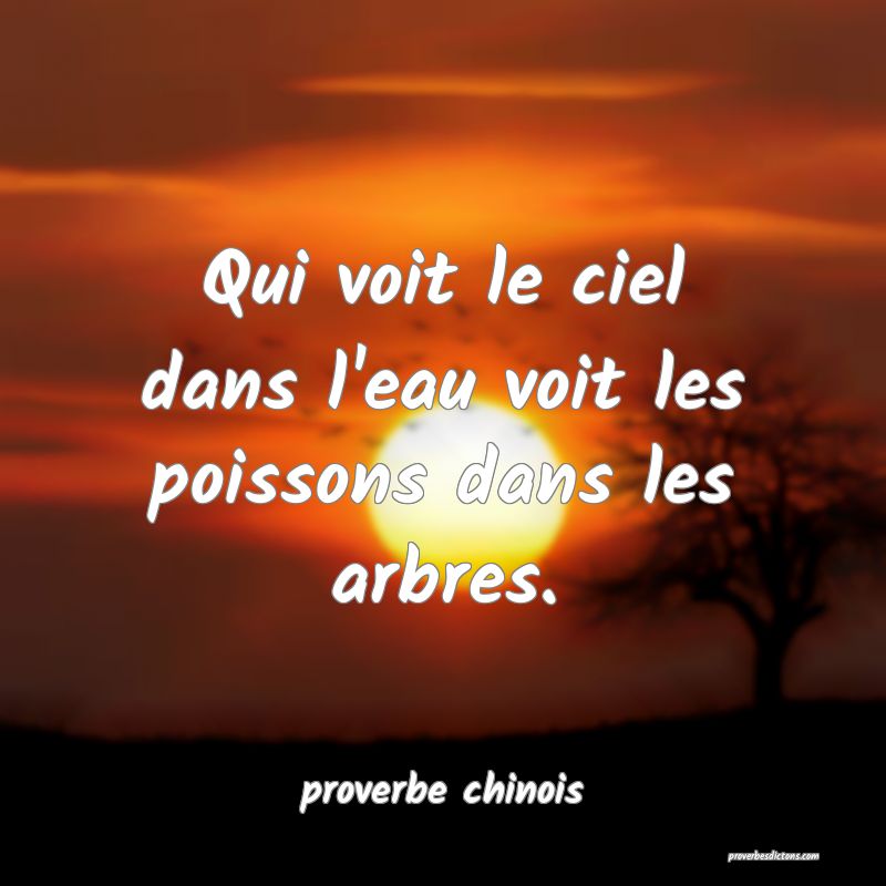  Qui voit le ciel dans l'eau voit les poissons dans les arbres.