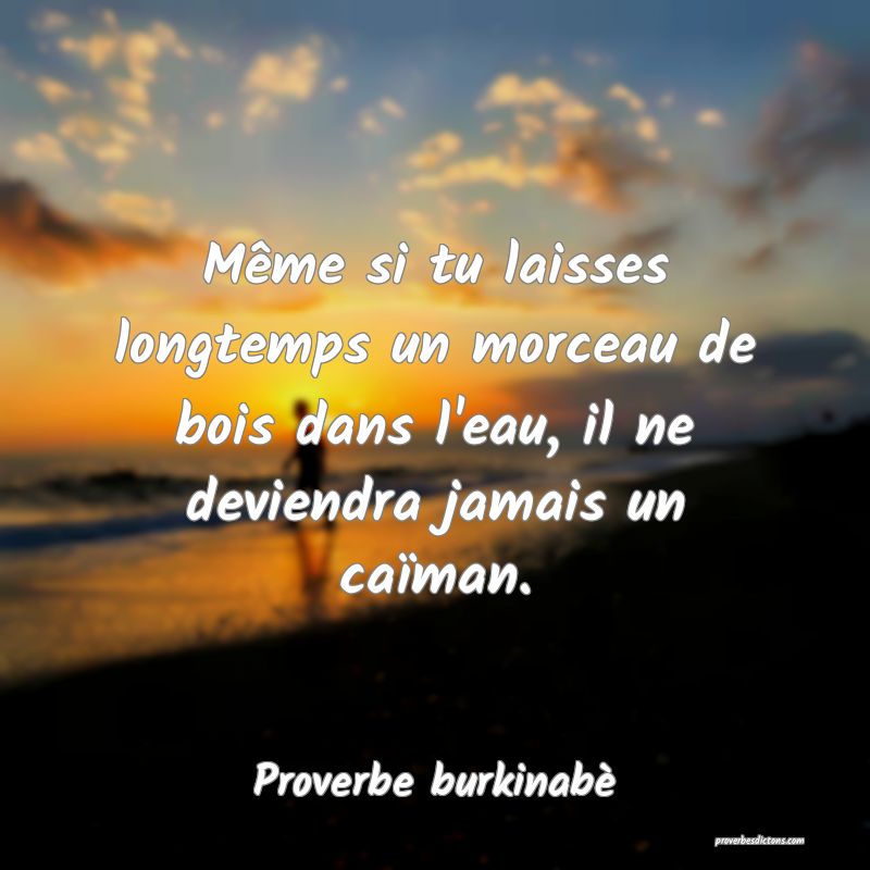 Même si tu laisses longtemps un morceau de bois dans l'eau, il ne deviendra jamais un caïman.