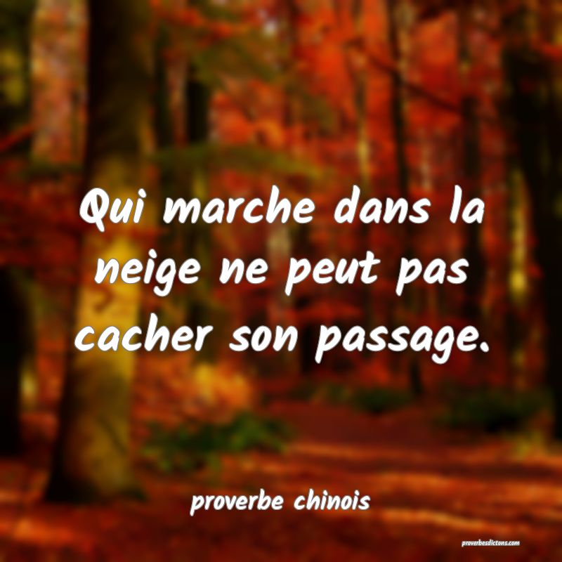  Qui marche dans la neige ne peut pas cacher son passage.