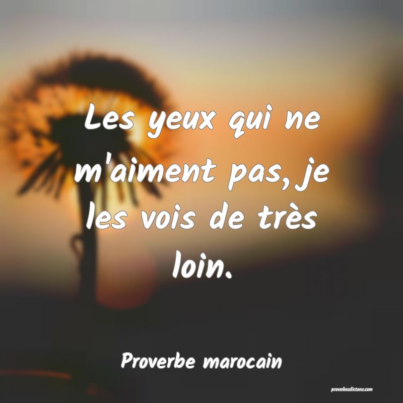 Les yeux qui ne m'aiment pas, je les vois de très loin.