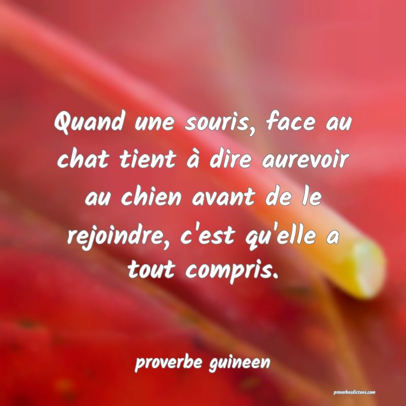  Quand une souris, face au chat tient à dire aurevoir au chien avant de le rejoindre, c'est qu'elle a tout compris.