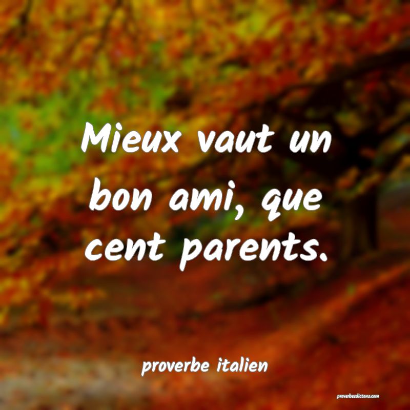  Mieux vaut un bon ami, que cent parents.