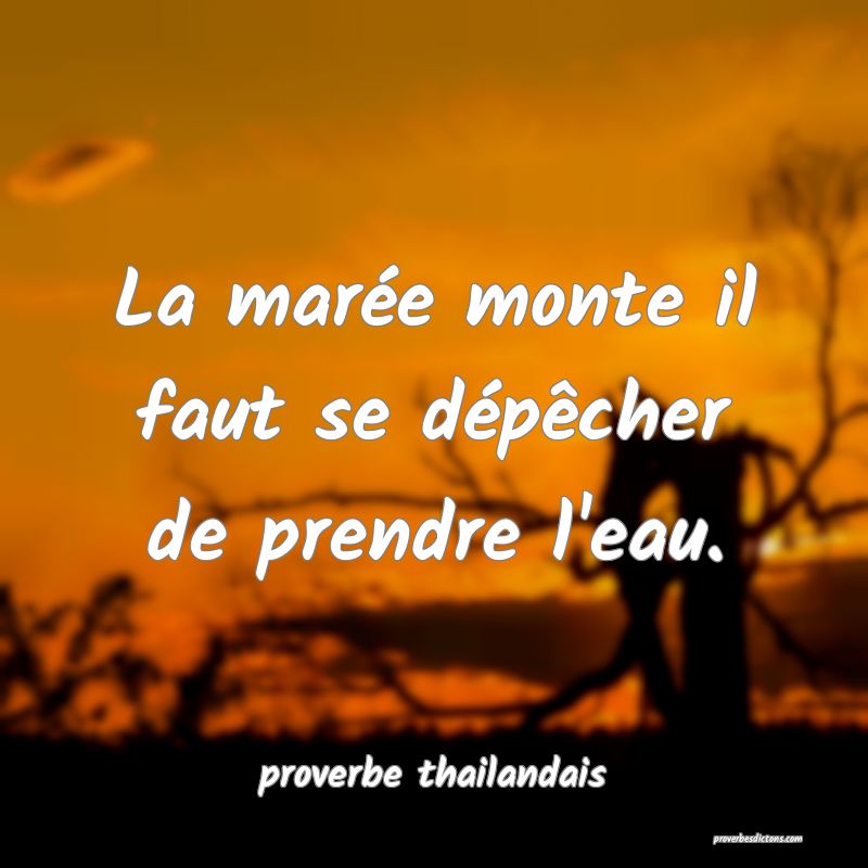 La marée monte il faut se dépêcher de prendre l'eau.