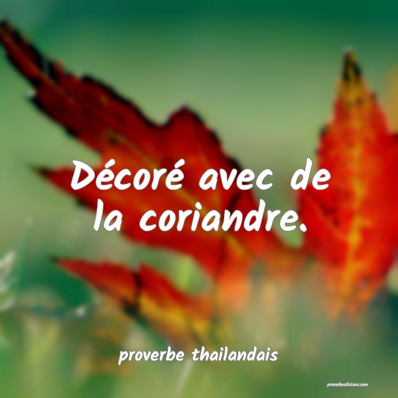  Décoré avec de la coriandre.
