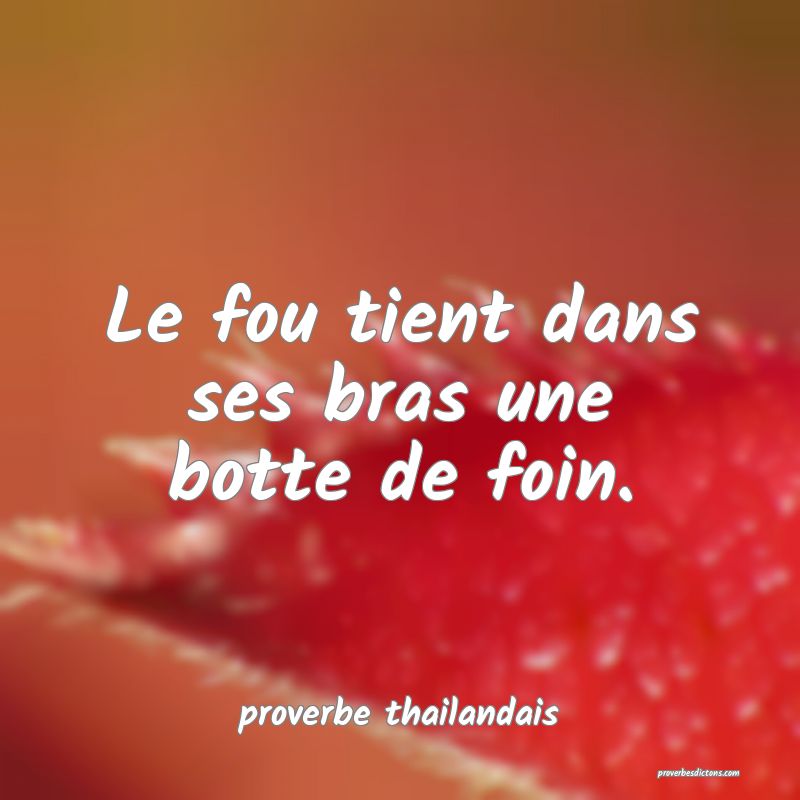  Le fou tient dans ses bras une botte de foin.