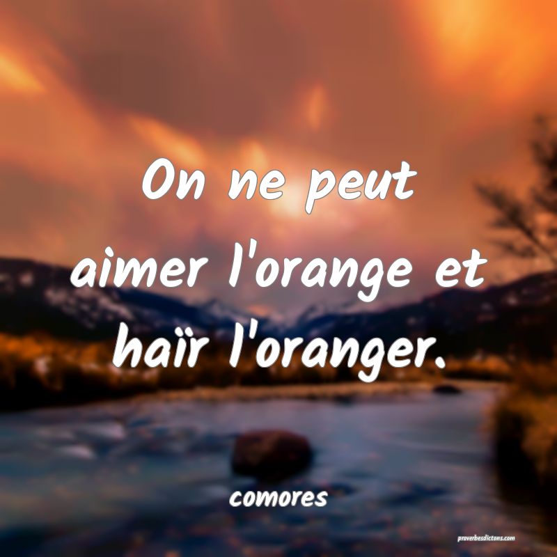  On ne peut aimer l'orange et haïr l'oranger.