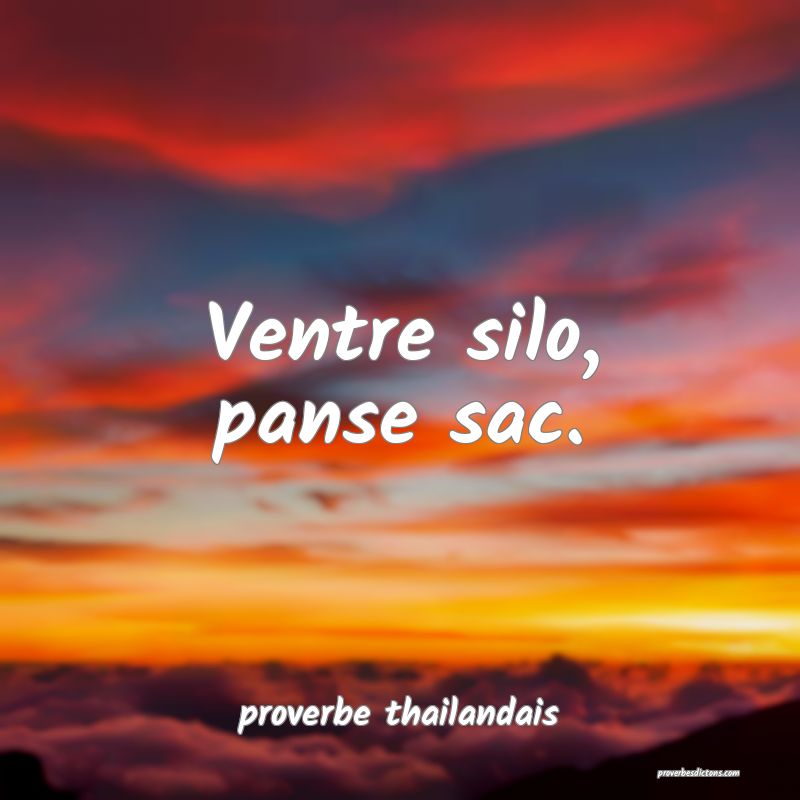  Ventre silo, panse sac.