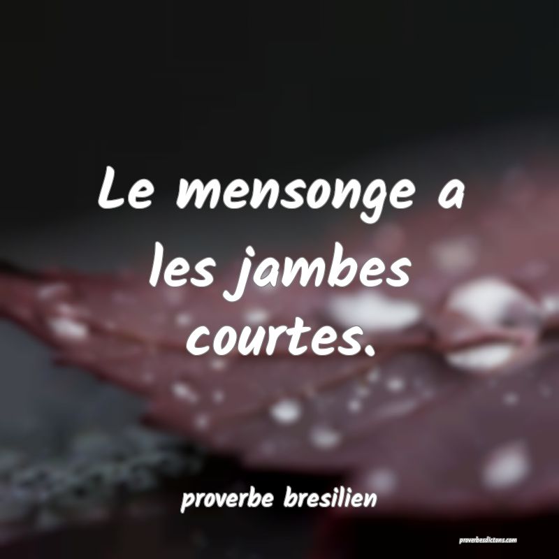  Le mensonge a les jambes courtes.