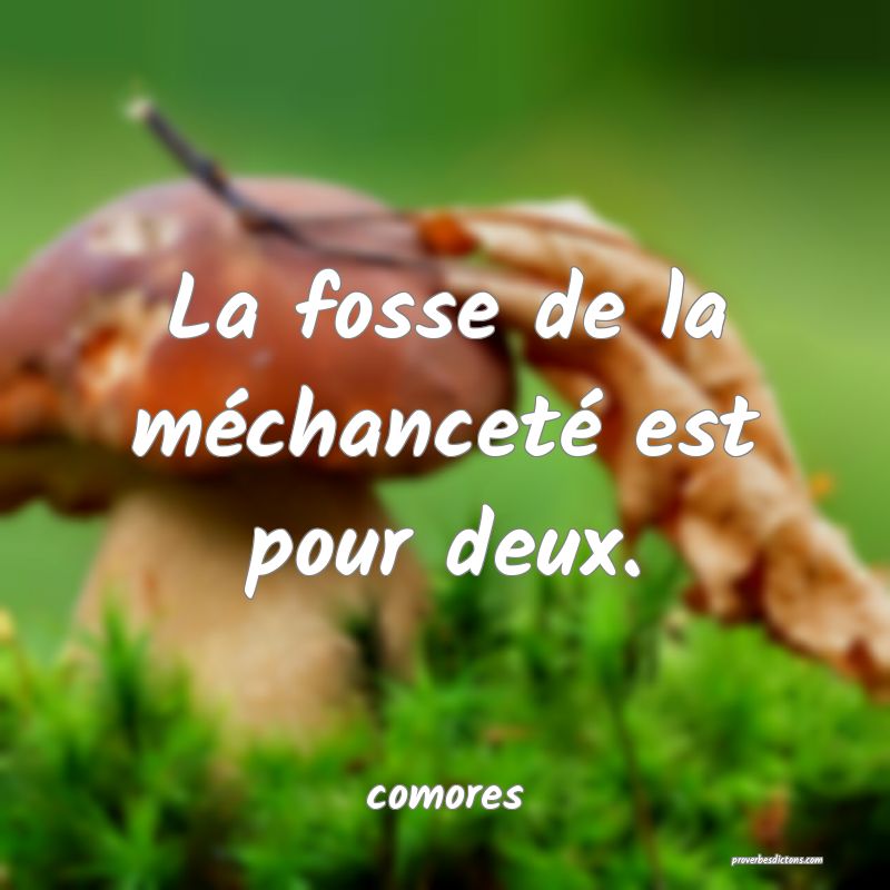  La fosse de la méchanceté est pour deux.