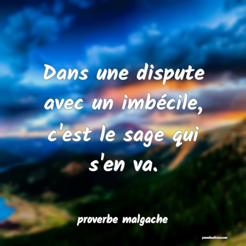  Dans une dispute avec un imbécile, c'est le sage qui s'en va.