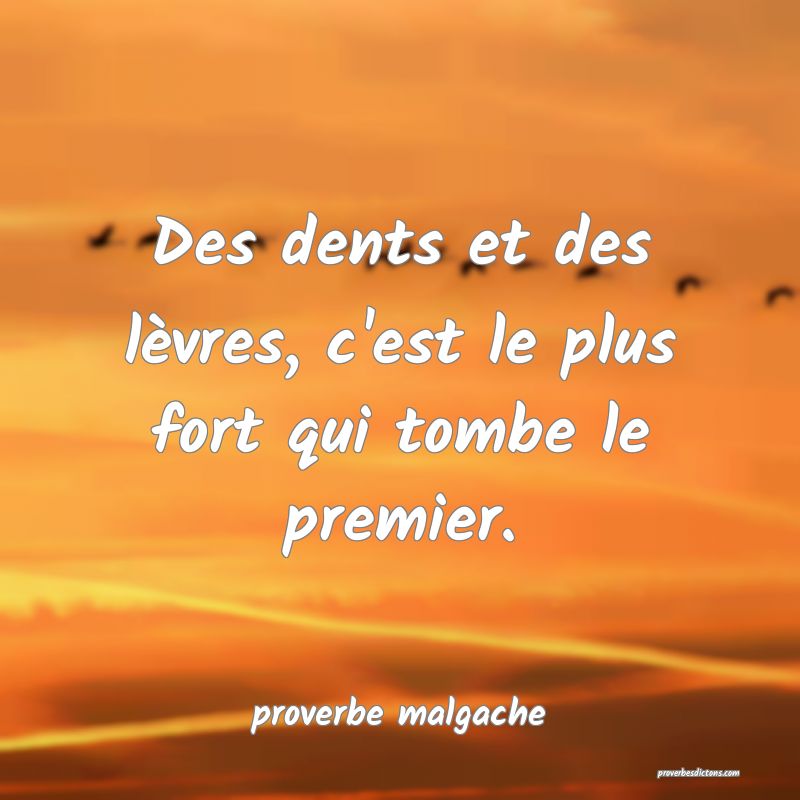  Des dents et des lèvres, c'est le plus fort qui tombe le premier.