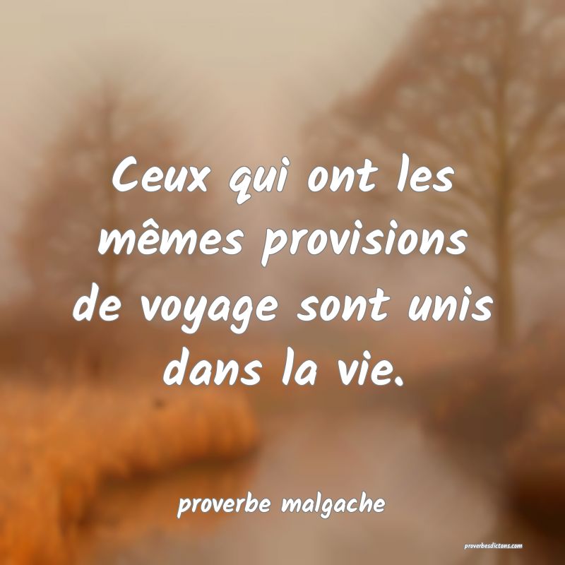  Ceux qui ont les mêmes provisions de voyage sont unis dans la vie.