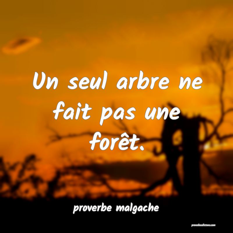  Un seul arbre ne fait pas une forêt.