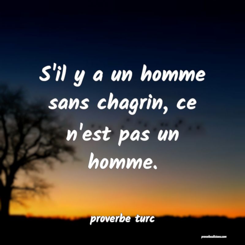  S'il y a un homme sans chagrin, ce n'est pas un homme.